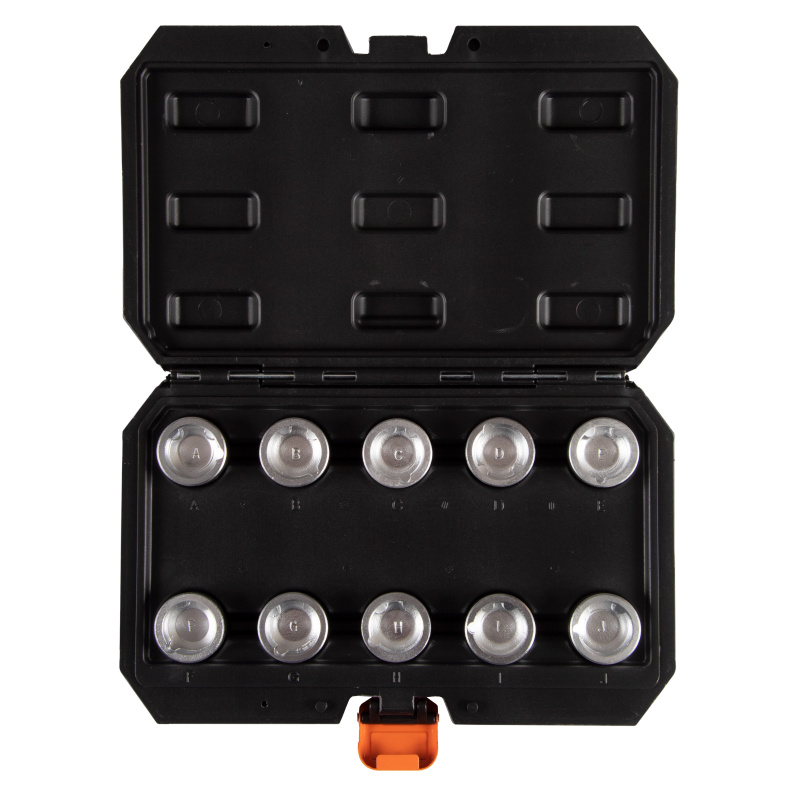 AFFIX Набор насадок для секреток колес Land Rover, кейс, 10 предметов AF10942310C